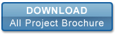 Joy Developer